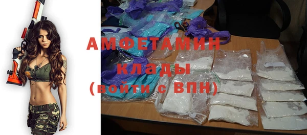 стафф Аркадак