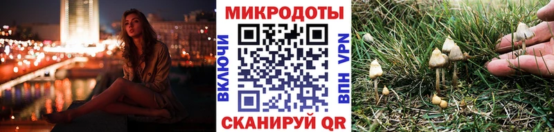 наркота  Протвино  Псилоцибиновые грибы Psilocybine cubensis 